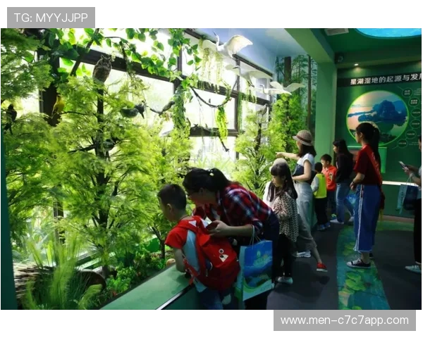 足球星卡打印费用大揭秘如何选择打印方式及其价格分析